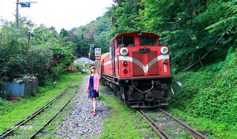 十字路|嘉義阿里山「十字路車站」深山古樸小村秘境觀景亭放。